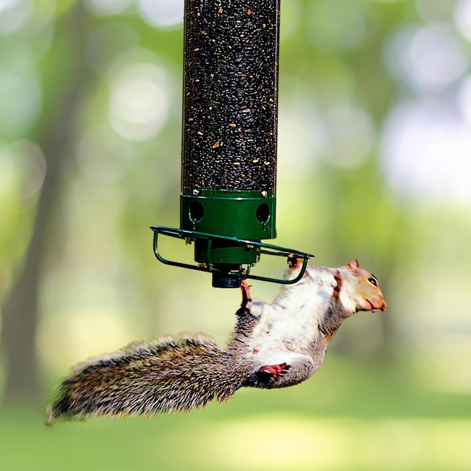 Durable 5 lbs Squirrel-Proof Bird Feeder – Includes Weight-Activated Perch
