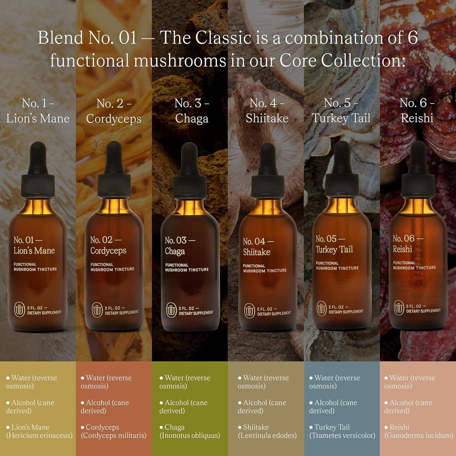 High Potency 240 Servings Mushroom Tincture - Natural Energy & Immunity Boost