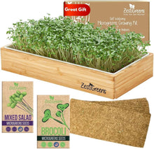 Load image into Gallery viewer, Stylish Microgreens Growing Kit with Natural Wood Finish - Perfect for Beginners
