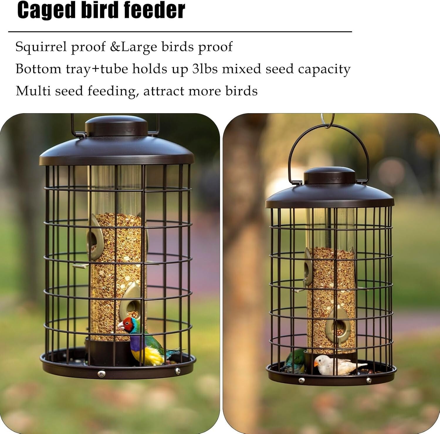 Caged Bird Feeder with Adjustable Feeding Ports - Squirrel-Proof Design, 3 lbs
