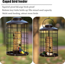 Load image into Gallery viewer, Caged Bird Feeder with Adjustable Feeding Ports - Squirrel-Proof Design, 3 lbs