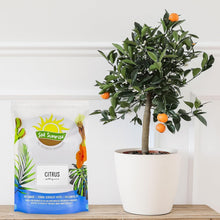 Load image into Gallery viewer, Nutrient-Rich 30 Quart Potting Mix for Potted Citrus Plants - Indoor/Outdoor