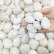 Load image into Gallery viewer, Natural Smooth White Stones - 1-2 Inch Polished Pebbles for Elegant Landscaping