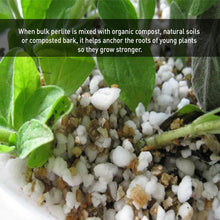 Load image into Gallery viewer, 120 Quart Non-Decay Organic Perlite for Healthy Plant Growth and Root Anchoring