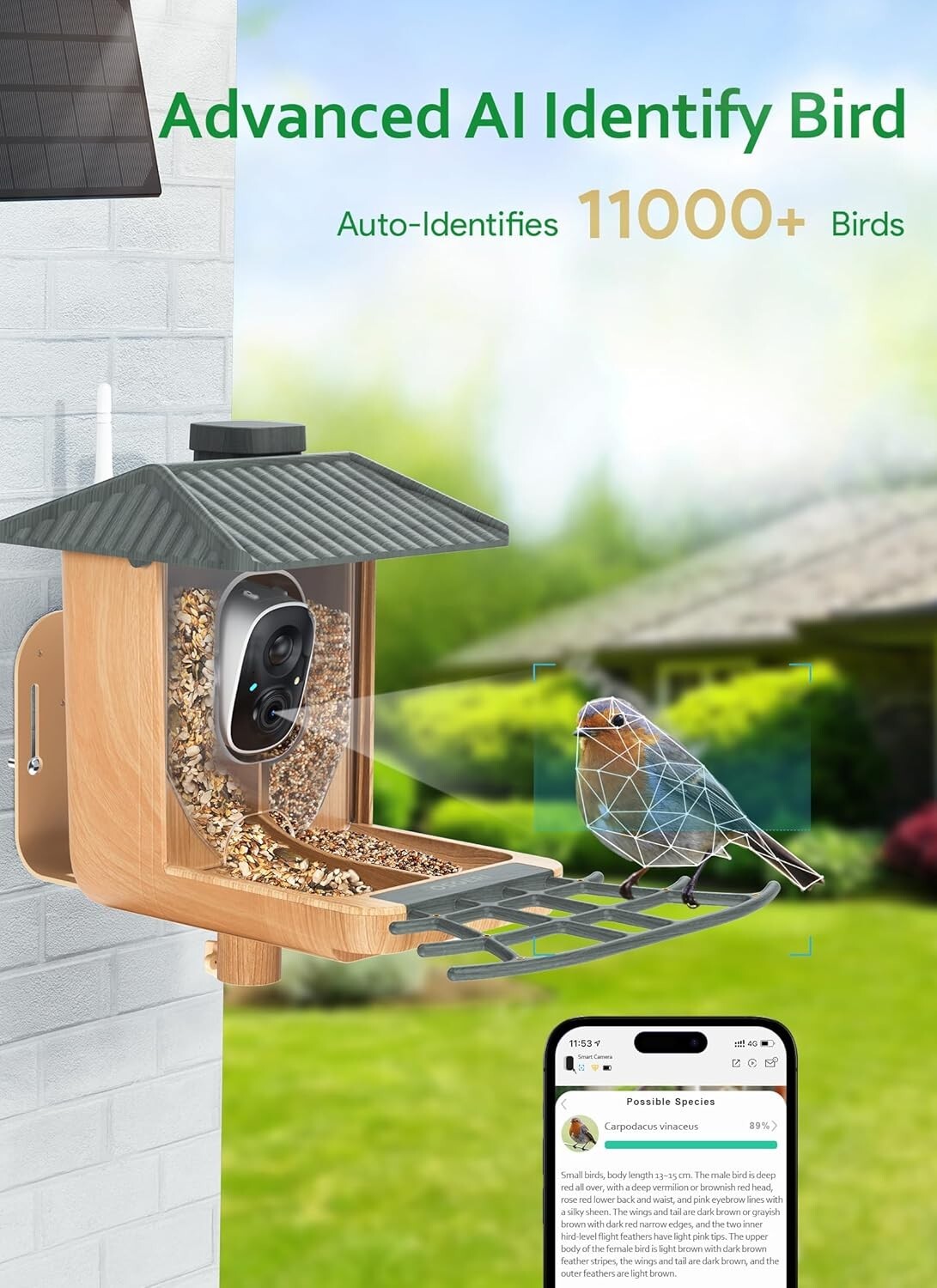 Dual-Bin Bird Feeder with Camera - Solar Powered, Weather Resistant, DIY Options