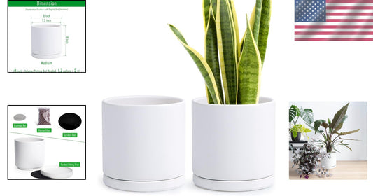 Set of 2 Elegant 8" Ceramic Planters with Drainage Holes and Matching Saucers