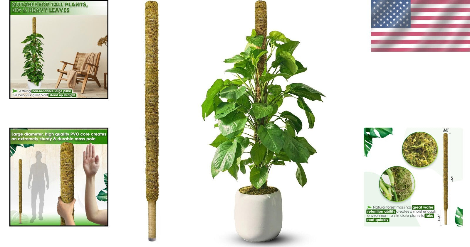 59'' Sturdy Moss Support Pole for Tall Plants - Perfect for Indoor Gardens