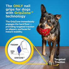 Load image into Gallery viewer, 20-Count Dog Toenail Grips - Instant Floor Traction for Senior Dogs - XXLarge