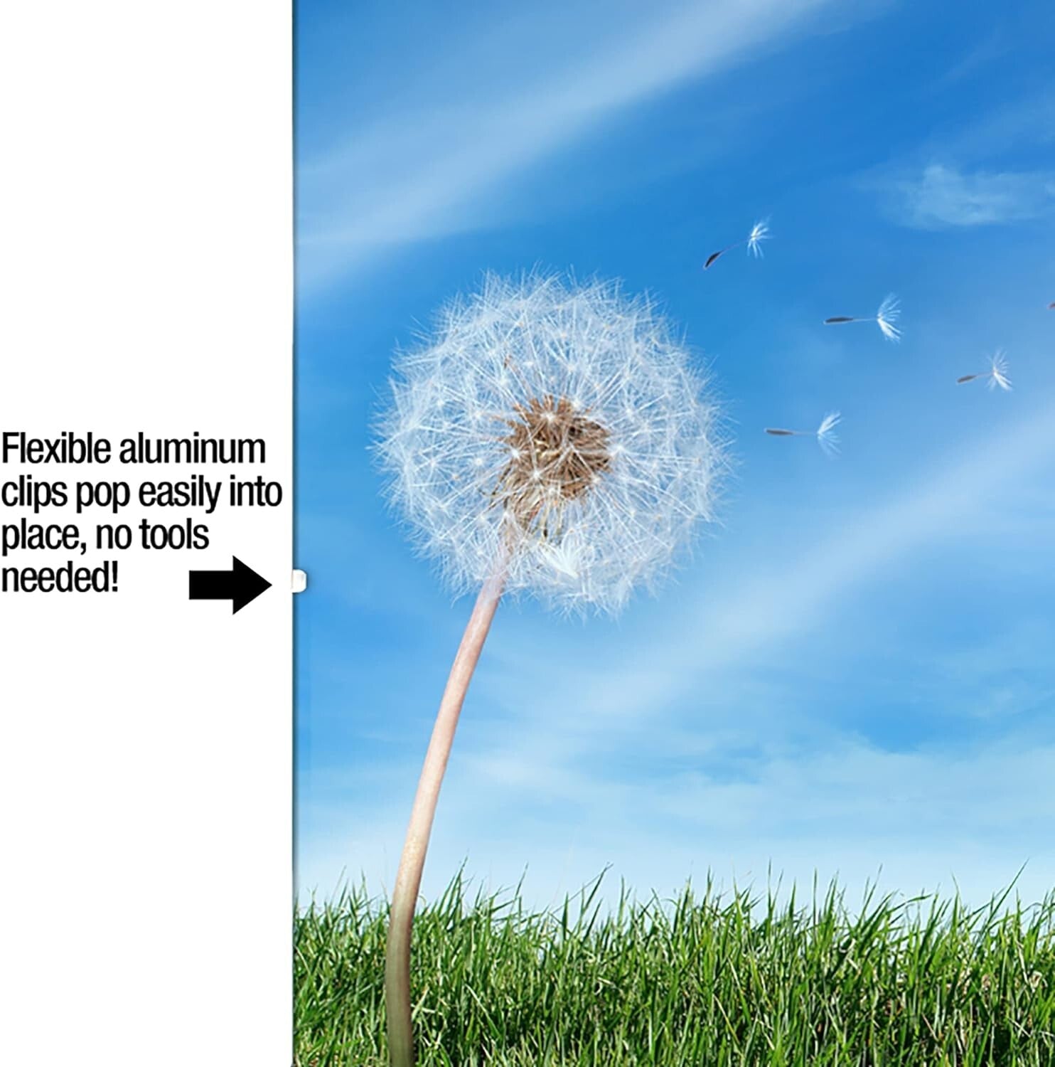 6-Pack Modern Low-Profile Clip Frames - 9x12 Minimalist Picture Frames