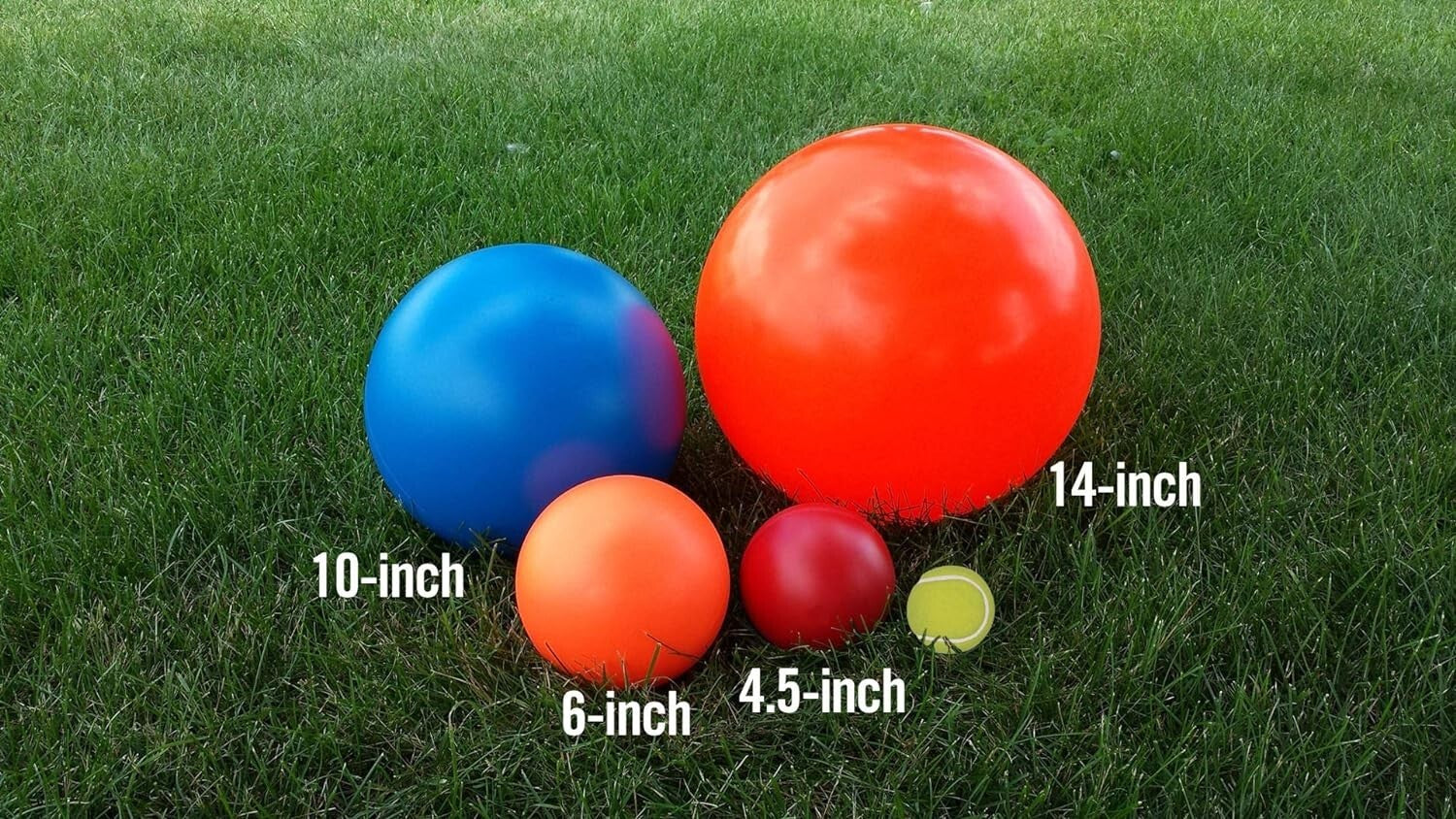 14-Inch Hard Plastic Dog Ball - Perfect for Herding and Push Play Outdoors