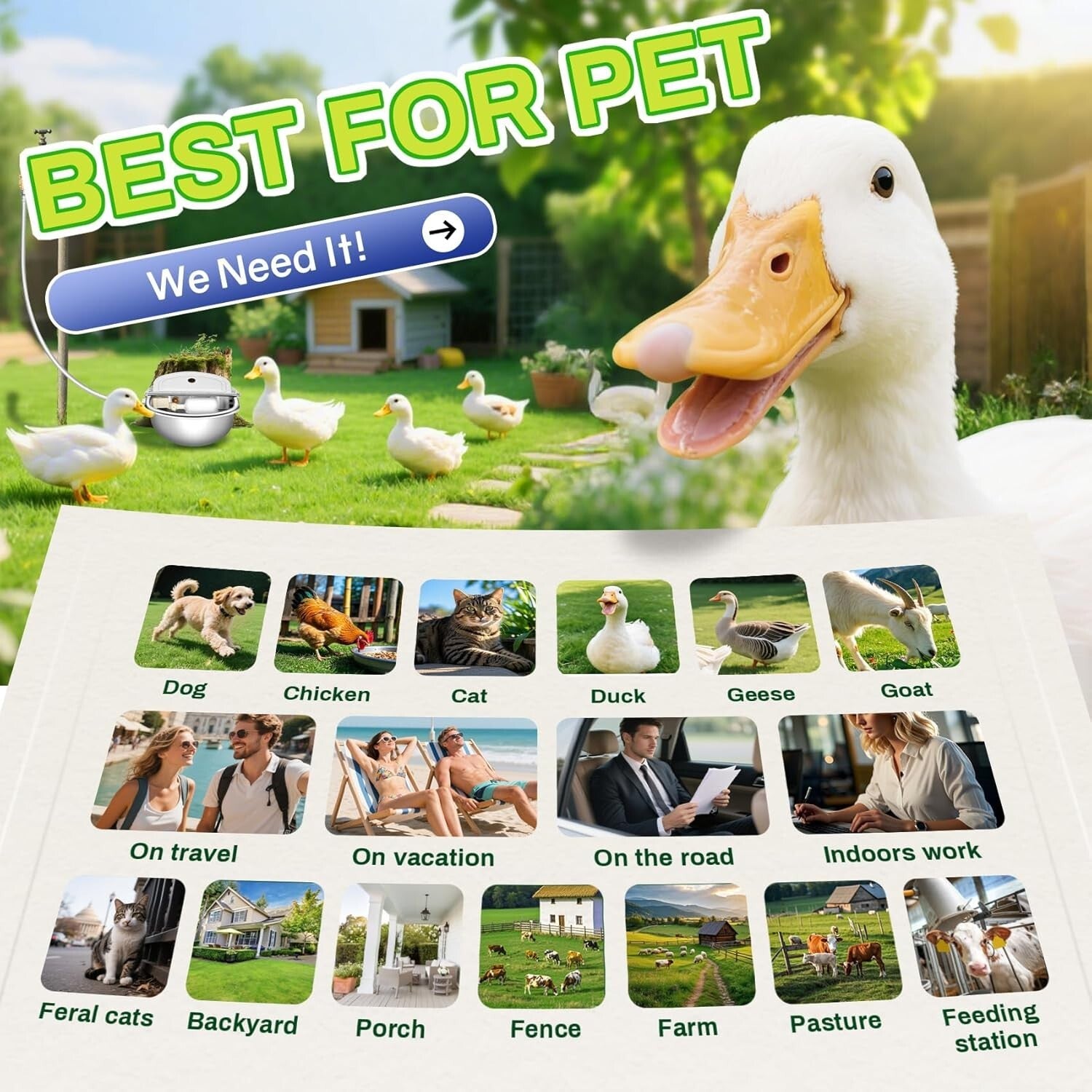 2.5L Auto-Filling Stainless Steel Water Bowl Kit for Farm Animals - Complete Set