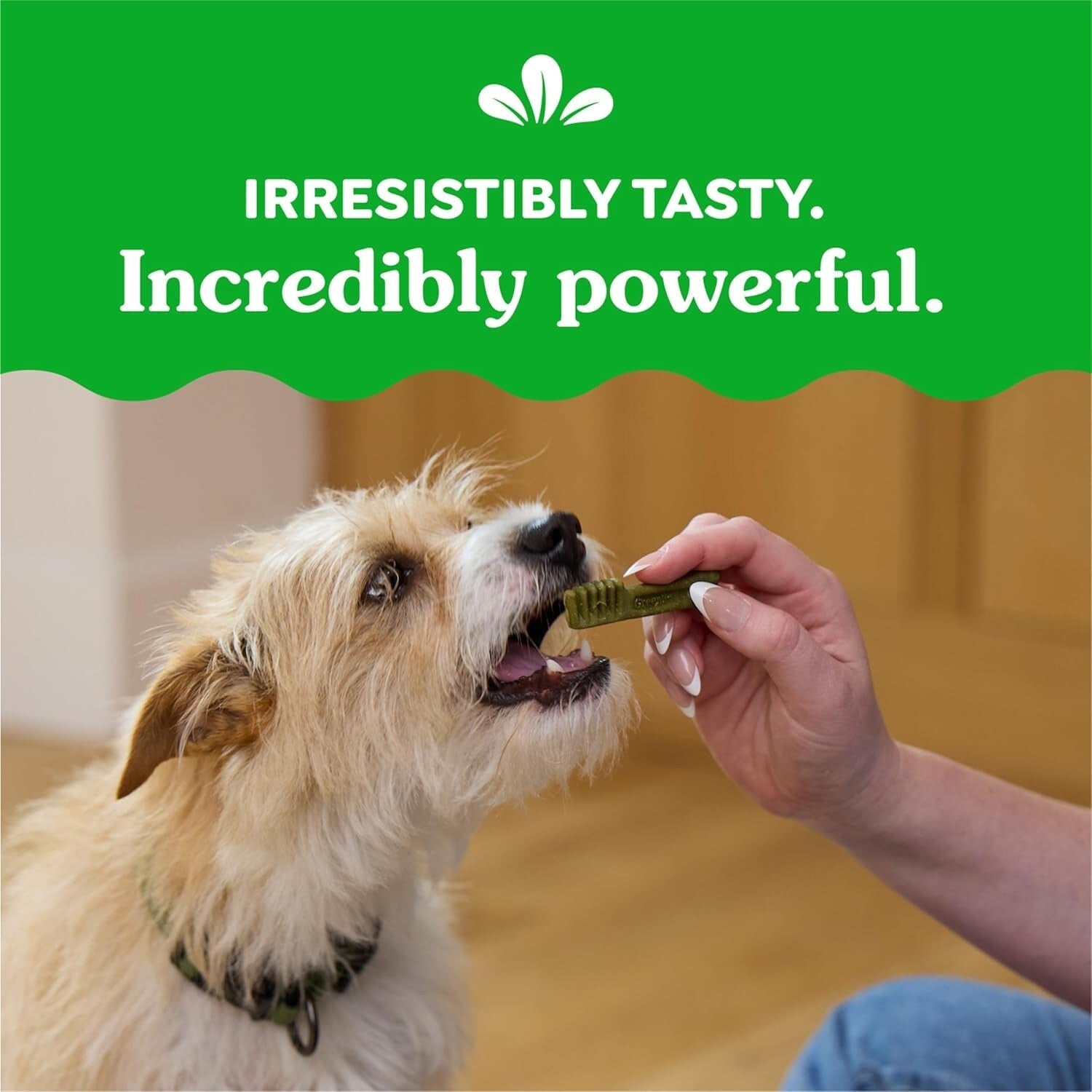 Original Teenie Dental Dog Treats, 54 oz. for Small Breeds - 192 Chewy Treats