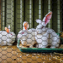 Load image into Gallery viewer, Premium Black Hexagonal Chicken Wire - 48" x 50' Galvanized Steel Netting