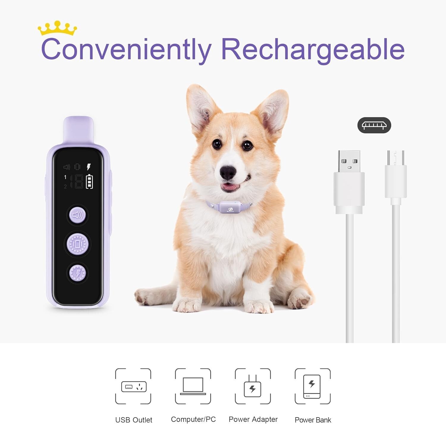 Dynamic 2-Dog Training Collar Set - Waterproof, Lightweight, and Effective