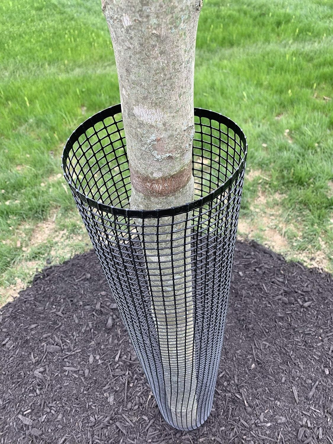 Durable Tree Trunk Protectors - 48" Tall, Flexible Mesh, Deer Protection