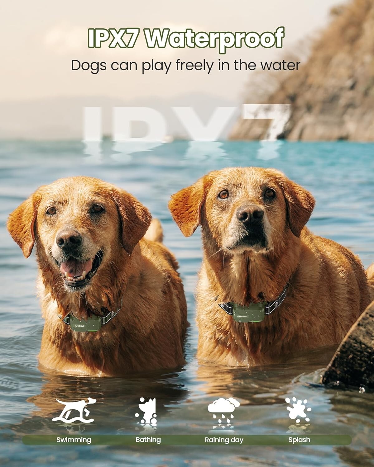 Rechargeable Dog Training Collar with Remote - 4 Modes, 4200FT Range, Safe Shock