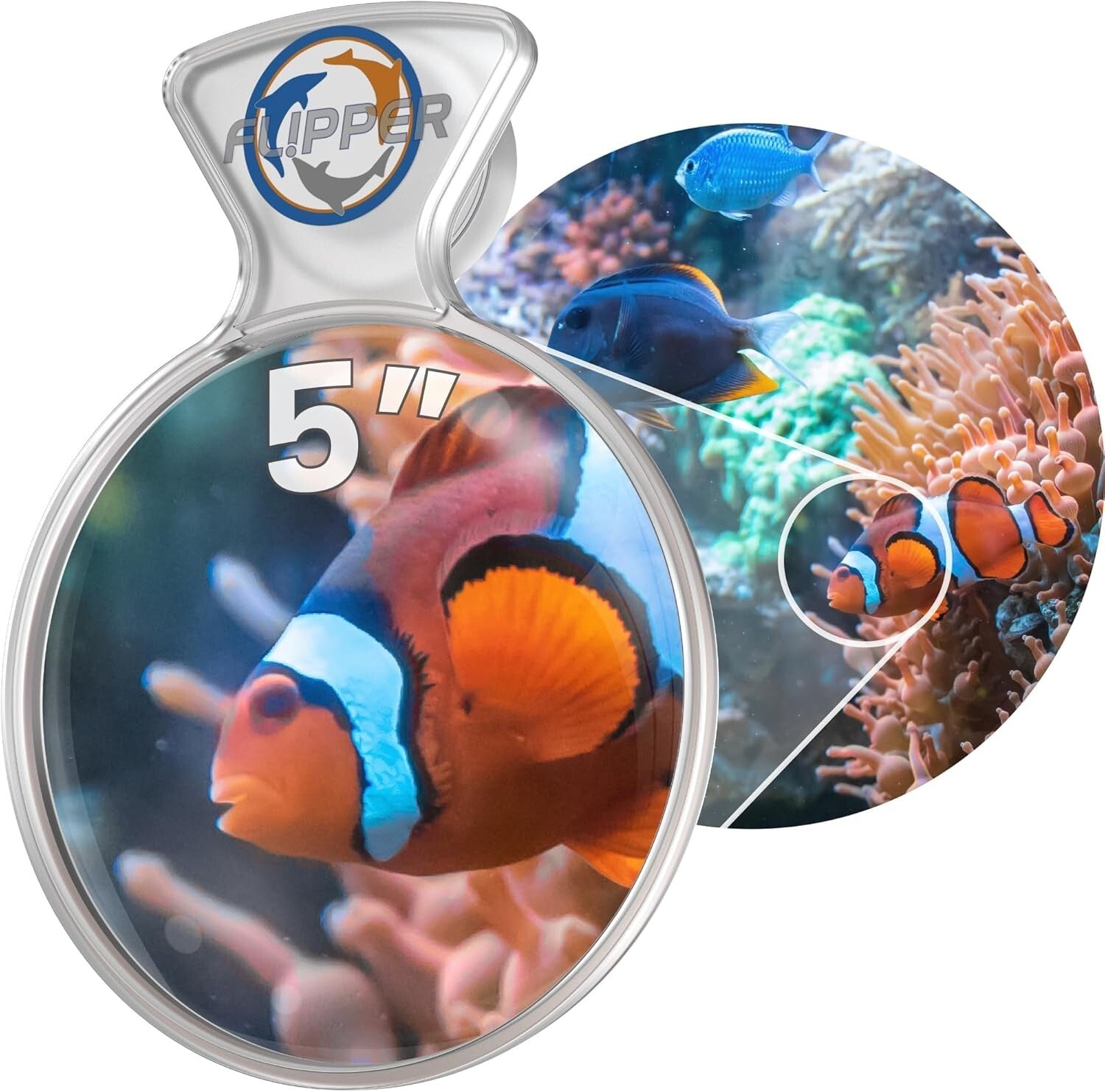 Lightweight 5" Aquarium Magnifying Glass - Ideal for Underwater Videography