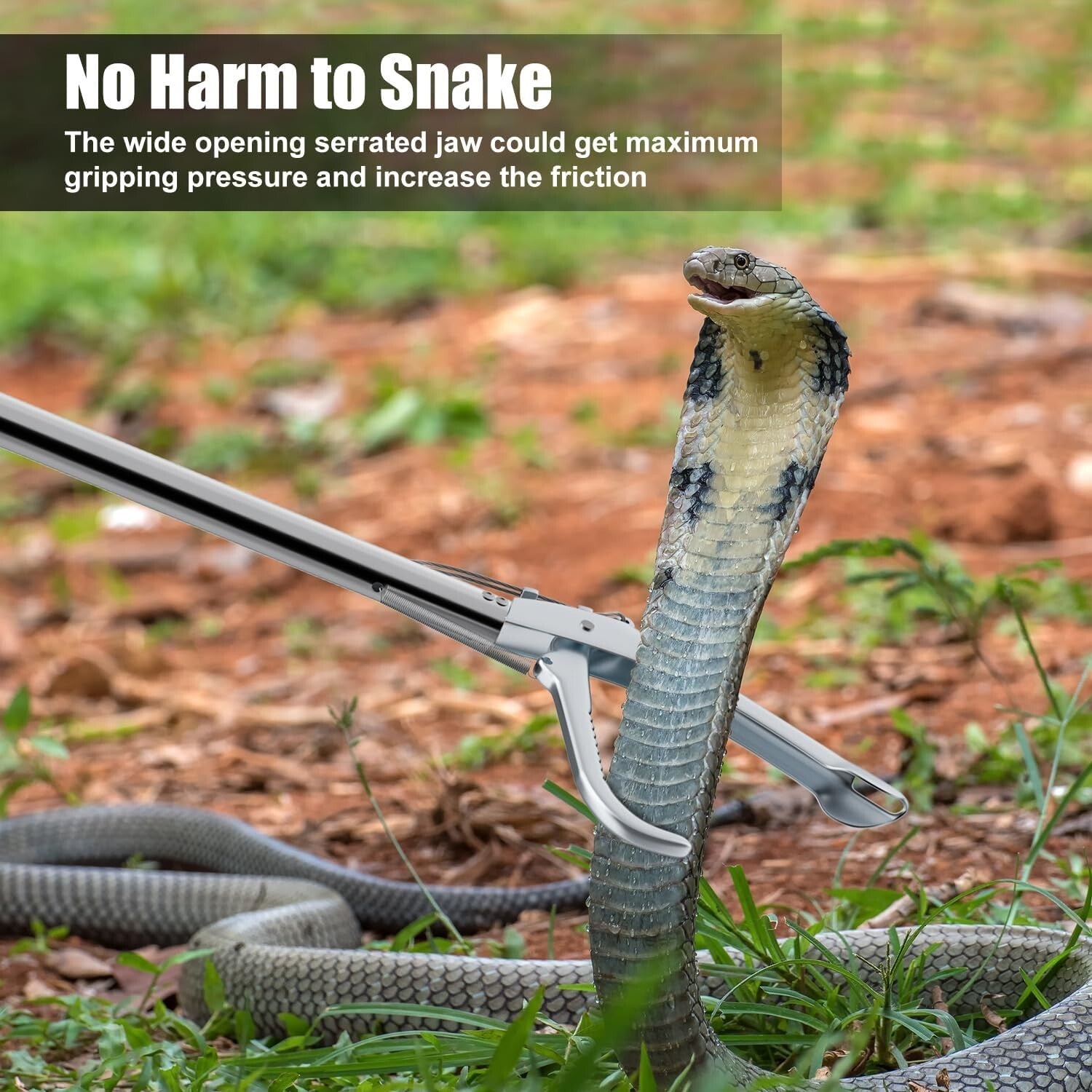 Extra Long 60” Stainless Steel Snake Tongs with Non-Slip Grip - Catch Humanely