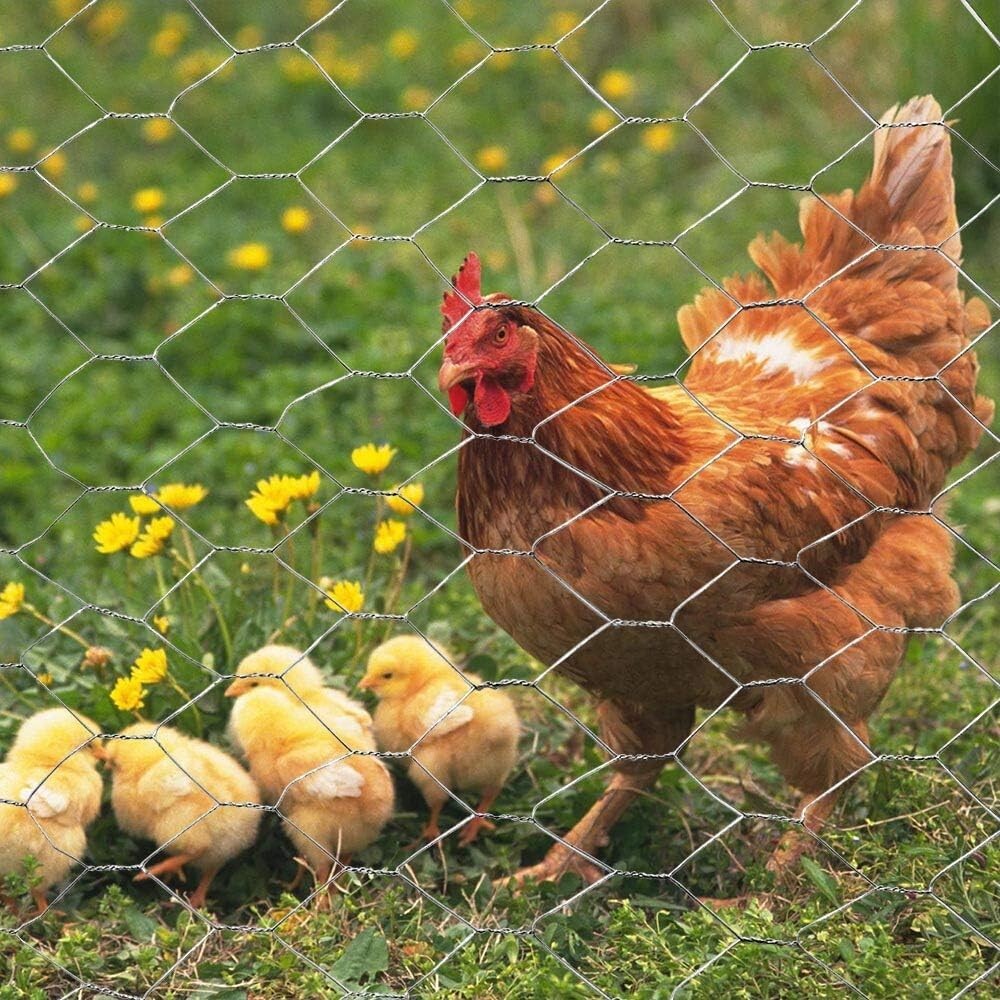 Durable 20GA Galvanized Chicken Wire 60" x 150' - Ideal for Livestock Enclosures