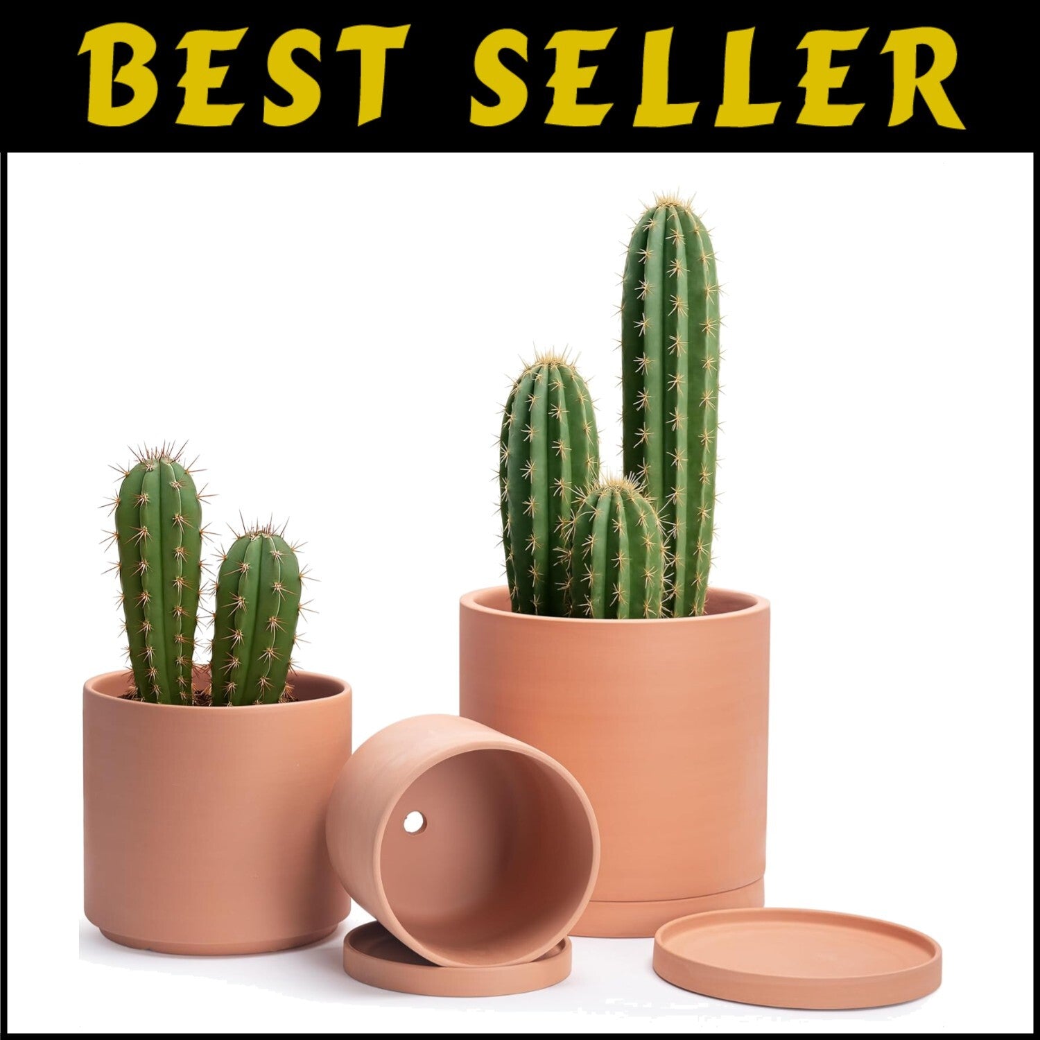 Elegant Set of 3 Terracotta Pots with Drainage and Saucers for Indoor Plants