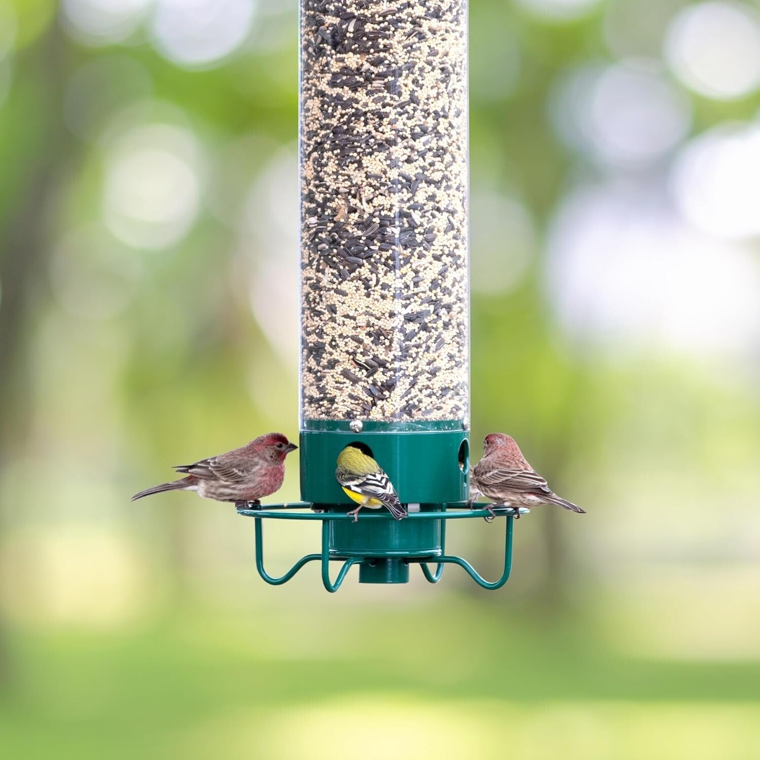 Durable 5 lbs Squirrel-Proof Bird Feeder – Includes Weight-Activated Perch
