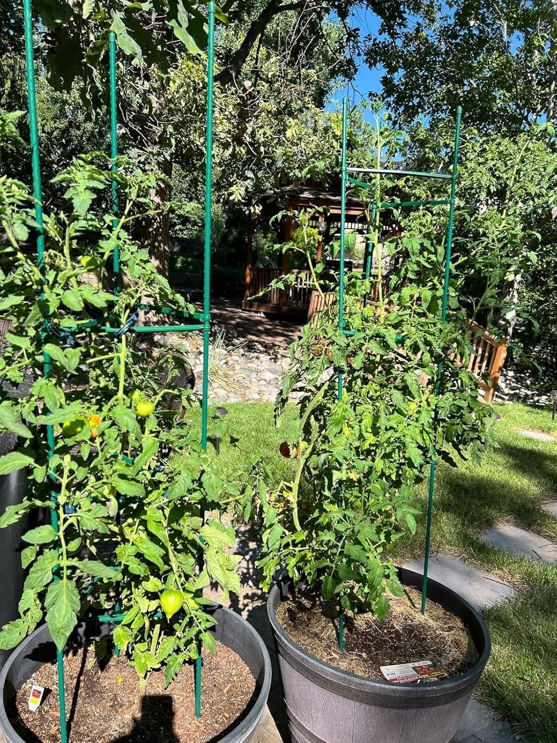 6-Pack 6ft Green Tomato Cages - Durable Support for Climbing Plants & Vegetables