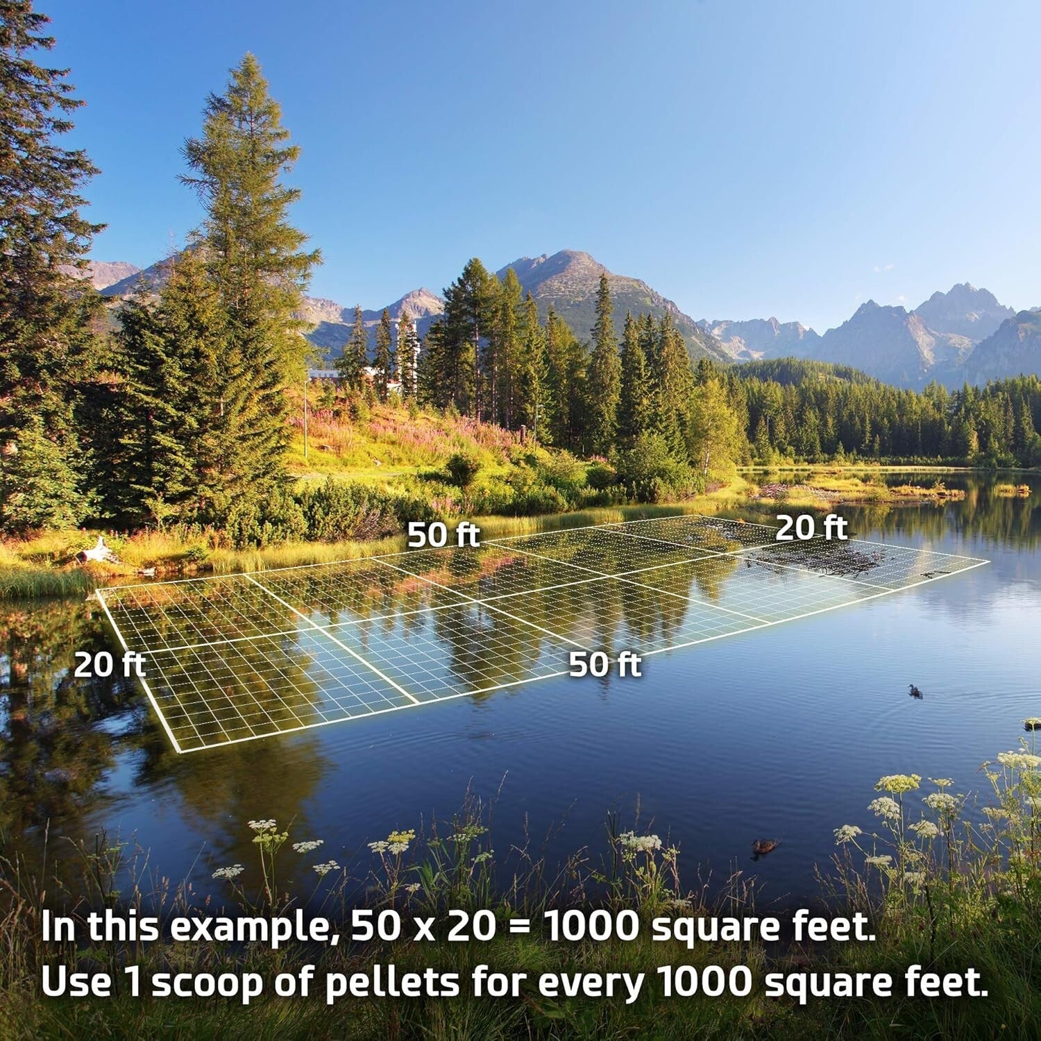 Natural Pond Sludge Remover – 10 lbs of Beneficial Bacteria for Cleaner Water