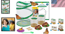 Load image into Gallery viewer, Engaging Butterfly Metamorphosis Kit | 10 Caterpillars &amp; 12" Habitat for Kids