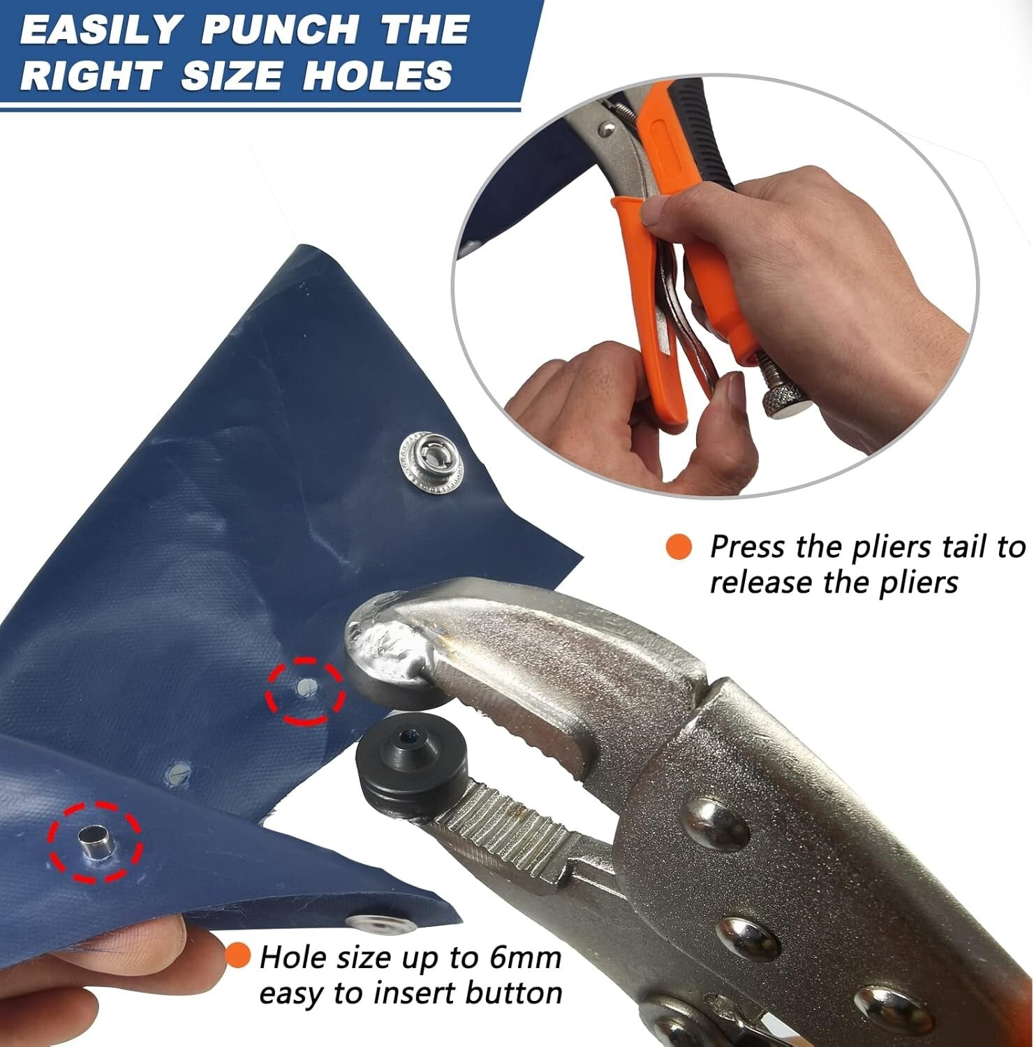 Stainless Steel Heavy Duty Snap Pliers with 60 Snaps for Marine & Leather Use