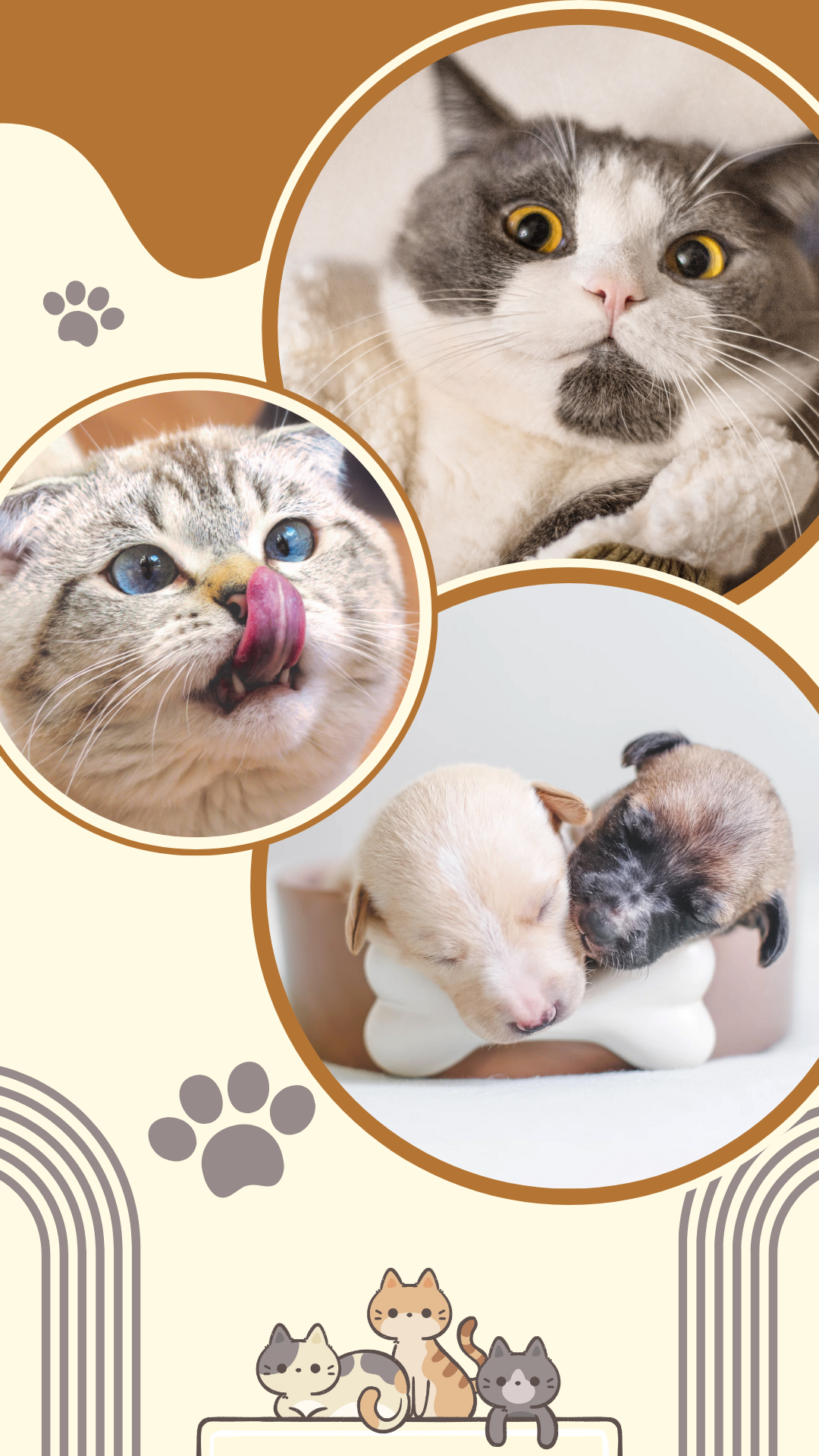Pet Supplies