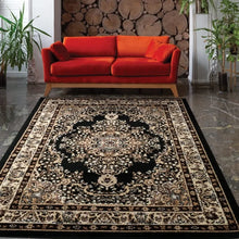 Load image into Gallery viewer, Large 6x9 Indoor Carpet | Non-Shedding, Great for Dining or Bedroom