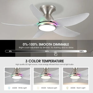 Smart Ceiling Fan with Lights - 38" Low Profile, Remote/App, Dimmable White + RGB