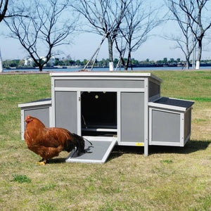 "Spacious Chicken Coop with Nesting Boxes | Cozy Hen House & Rabbit/Duck Home