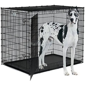 Homes for Pets SL54DD XXL Double Door Dog Crate, Great Dane, Mastiff, St. Bernard