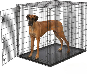 SL54DD Single Door Dog Crate for XXL Dogs - Great Dane, Mastiff, St. Bernard