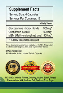 Glucosamine Chondrotin MSM Triple Strength 2000mg Big Bottle 60 Capsules PL